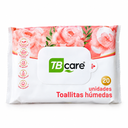 Toallitas húmedas TB Care (20u)